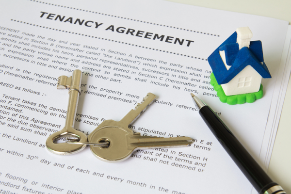 What Does A Landlord Background Check Include?